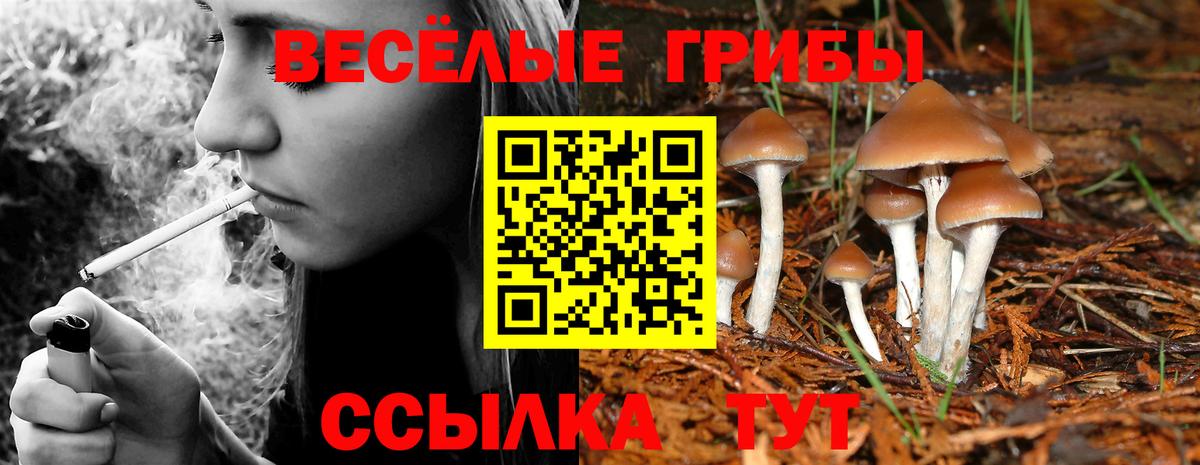 Галлюциногенные грибы Magic Shrooms Сосновый Бор
