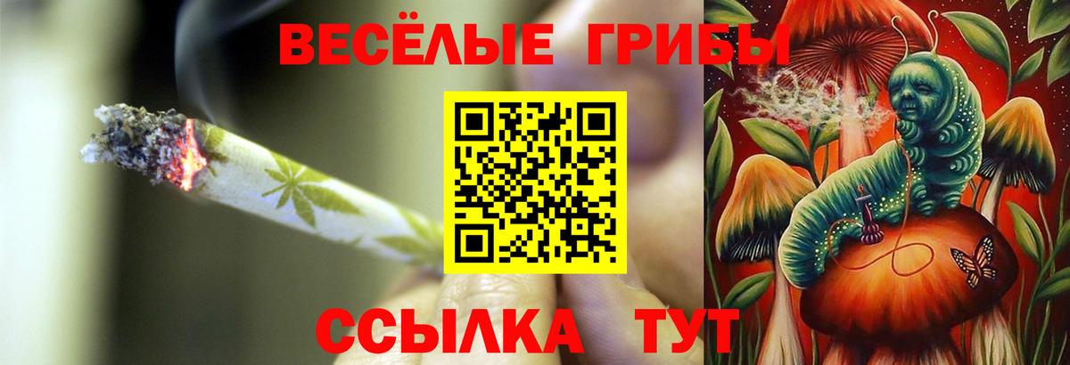 Галлюциногенные грибы прущие грибы  Вход с VPN  Сосновый Бор 